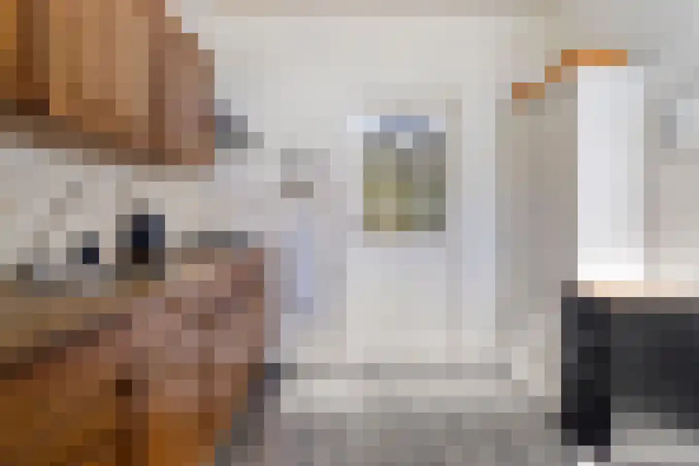 Graaf Adolfstraat 17 Oude Pekela thumbnail 17