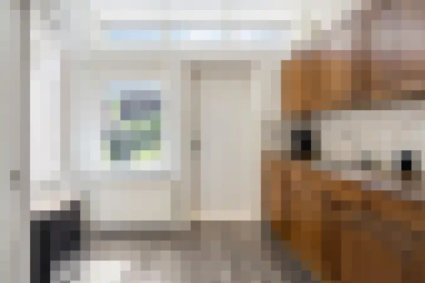 Graaf Adolfstraat 17 Oude Pekela thumbnail 18
