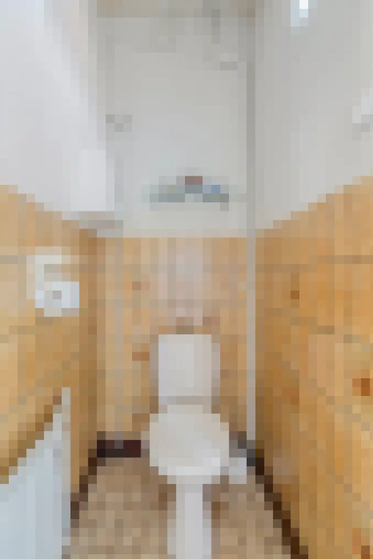 Graaf Adolfstraat 17 Oude Pekela thumbnail 9