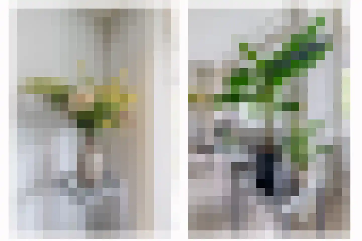 Graaf Adolfstraat 19 Eindhoven thumbnail 21