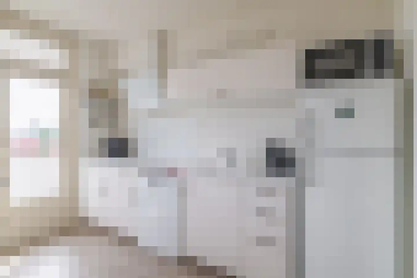 Graaf Adolfstraat 19 Eindhoven thumbnail 22