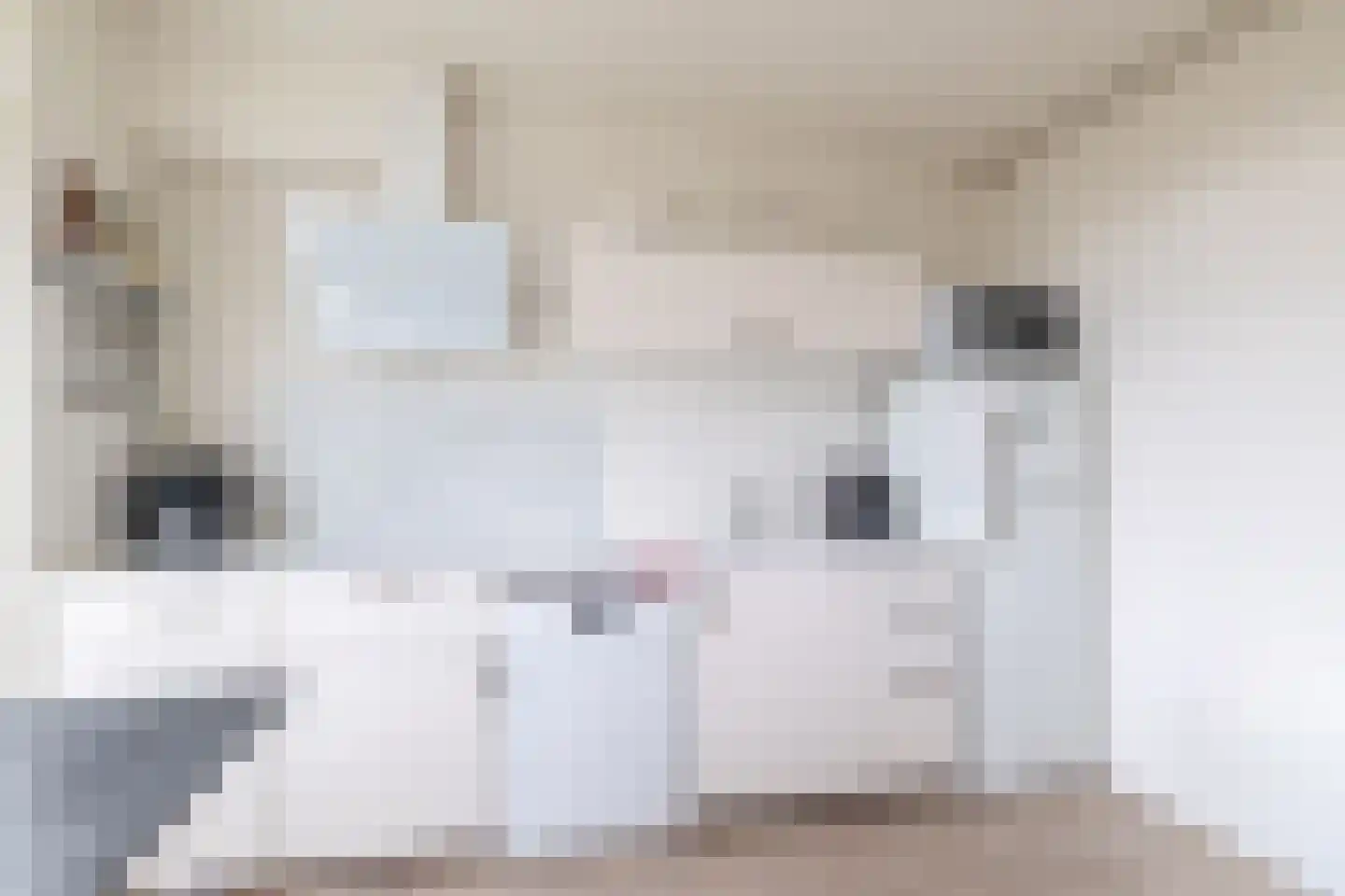 Graaf Adolfstraat 19 Eindhoven thumbnail 23