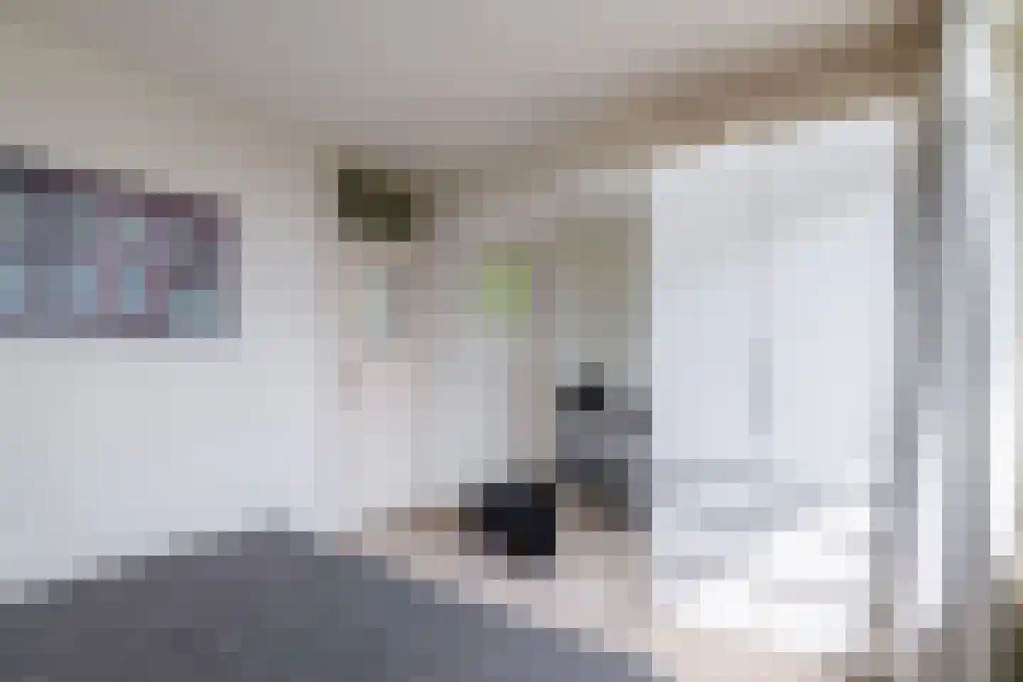 Graaf Adolfstraat 19 Eindhoven thumbnail 29