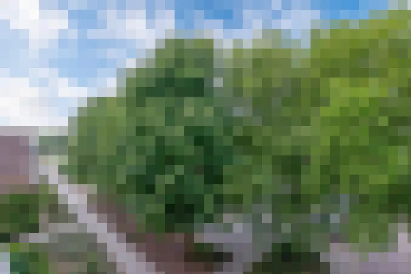 Graaf Adolfstraat 19 Eindhoven thumbnail 36