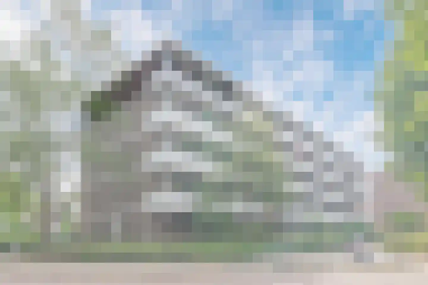 Graaf Adolfstraat 19 Eindhoven thumbnail 5