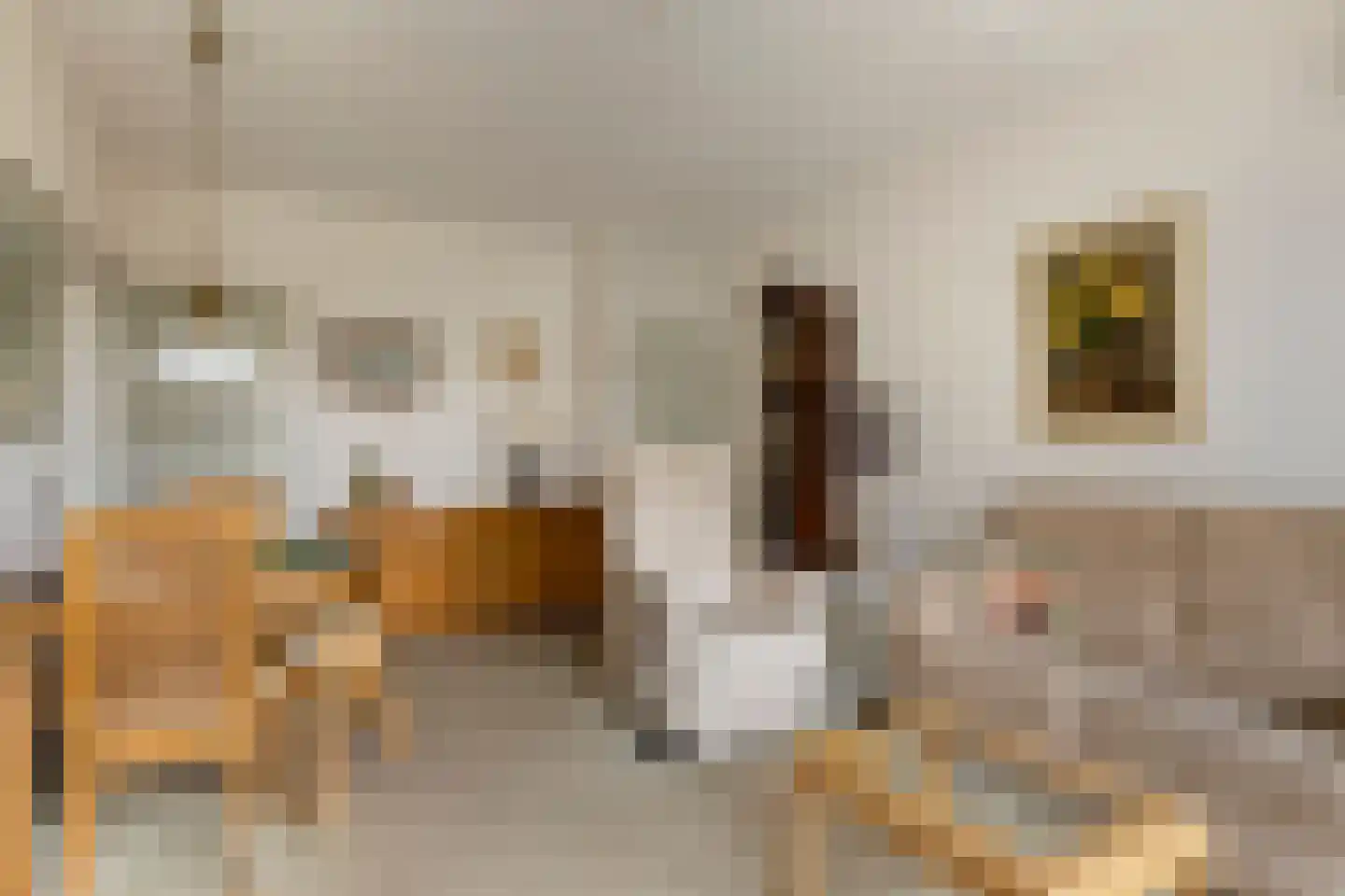 Graaf Adolfstraat 21 Eindhoven thumbnail 10