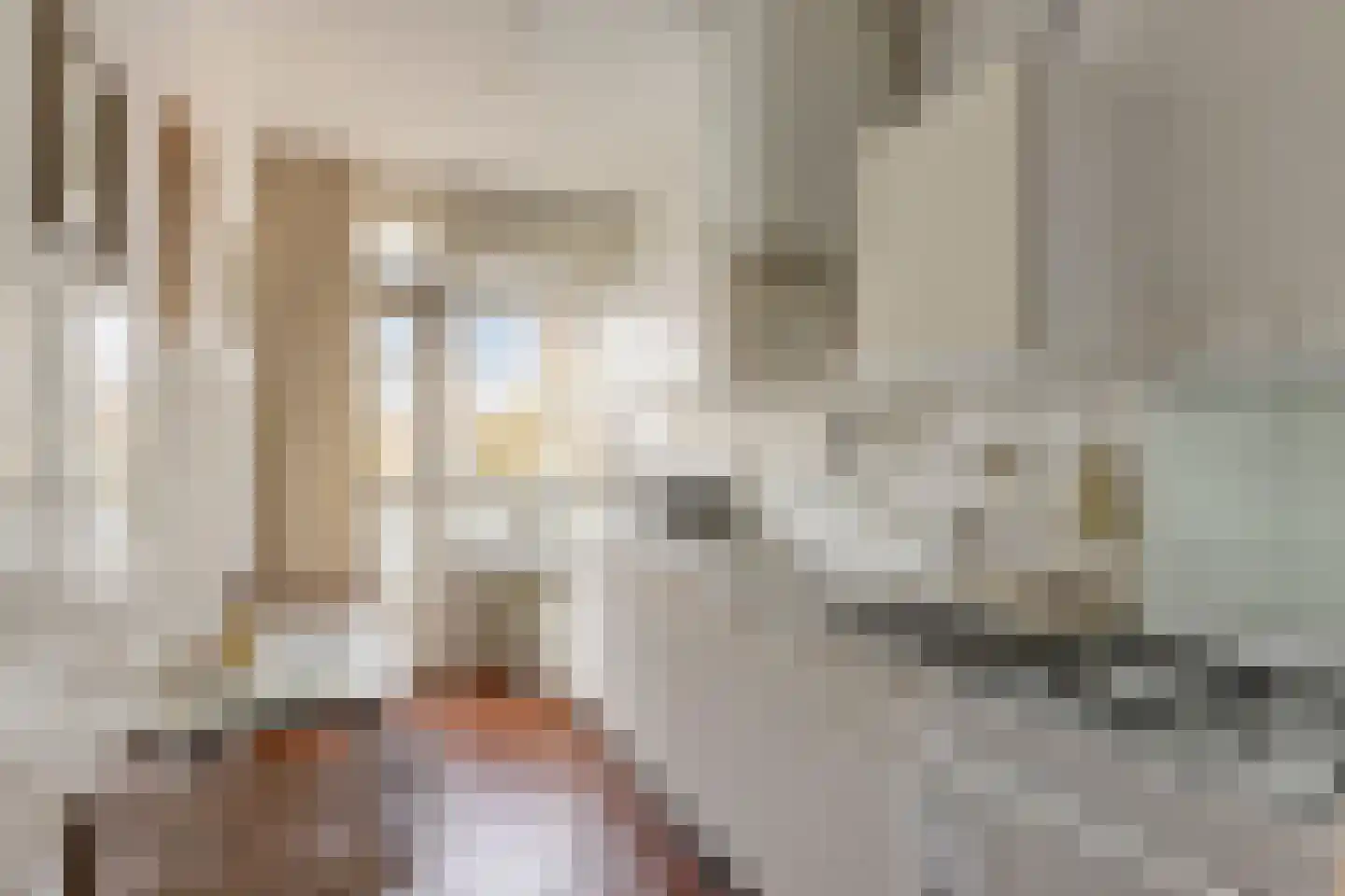 Graaf Adolfstraat 21 Eindhoven thumbnail 12