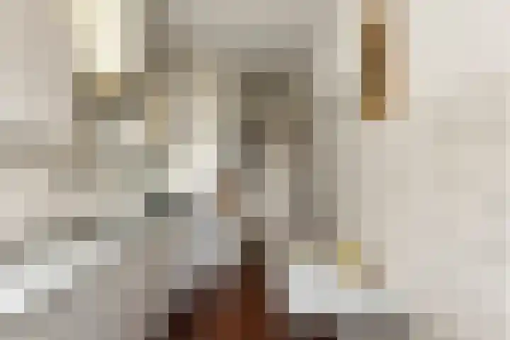 Graaf Adolfstraat 21 Eindhoven thumbnail 13
