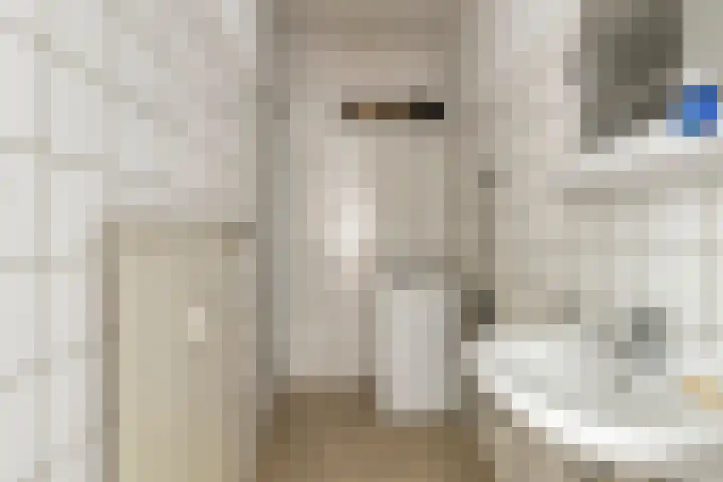 Graaf Adolfstraat 21 Eindhoven thumbnail 16