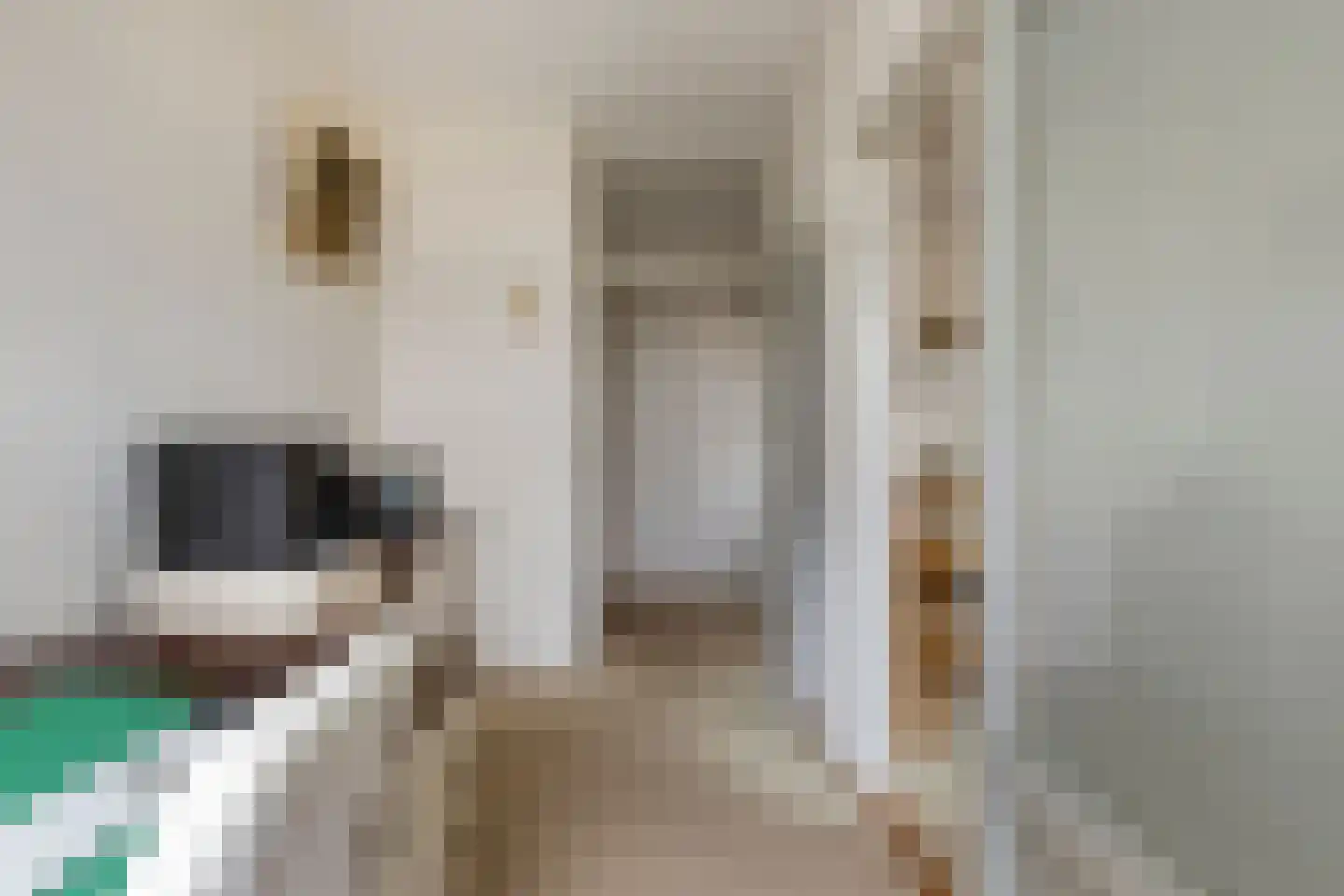 Graaf Adolfstraat 21 Eindhoven thumbnail 22