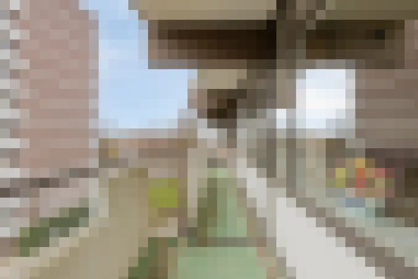 Graaf Adolfstraat 21 Eindhoven thumbnail 23