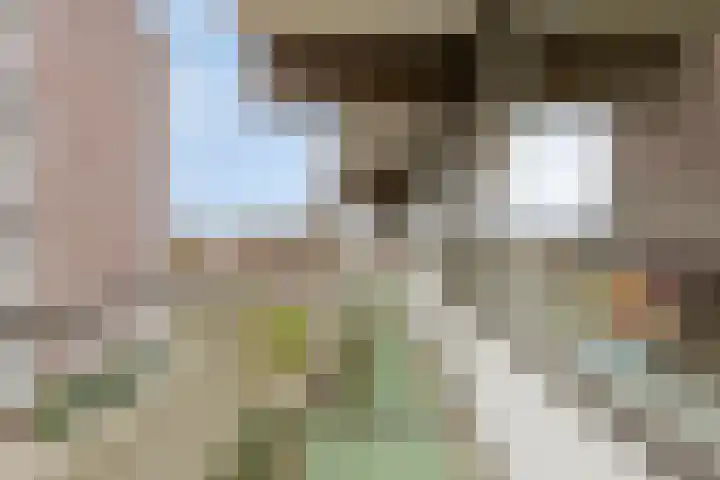 Graaf Adolfstraat 21 Eindhoven thumbnail 23