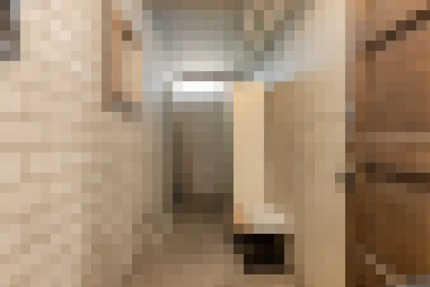 Graaf Adolfstraat 21 Eindhoven thumbnail 26