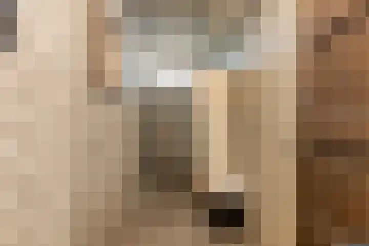 Graaf Adolfstraat 21 Eindhoven thumbnail 26