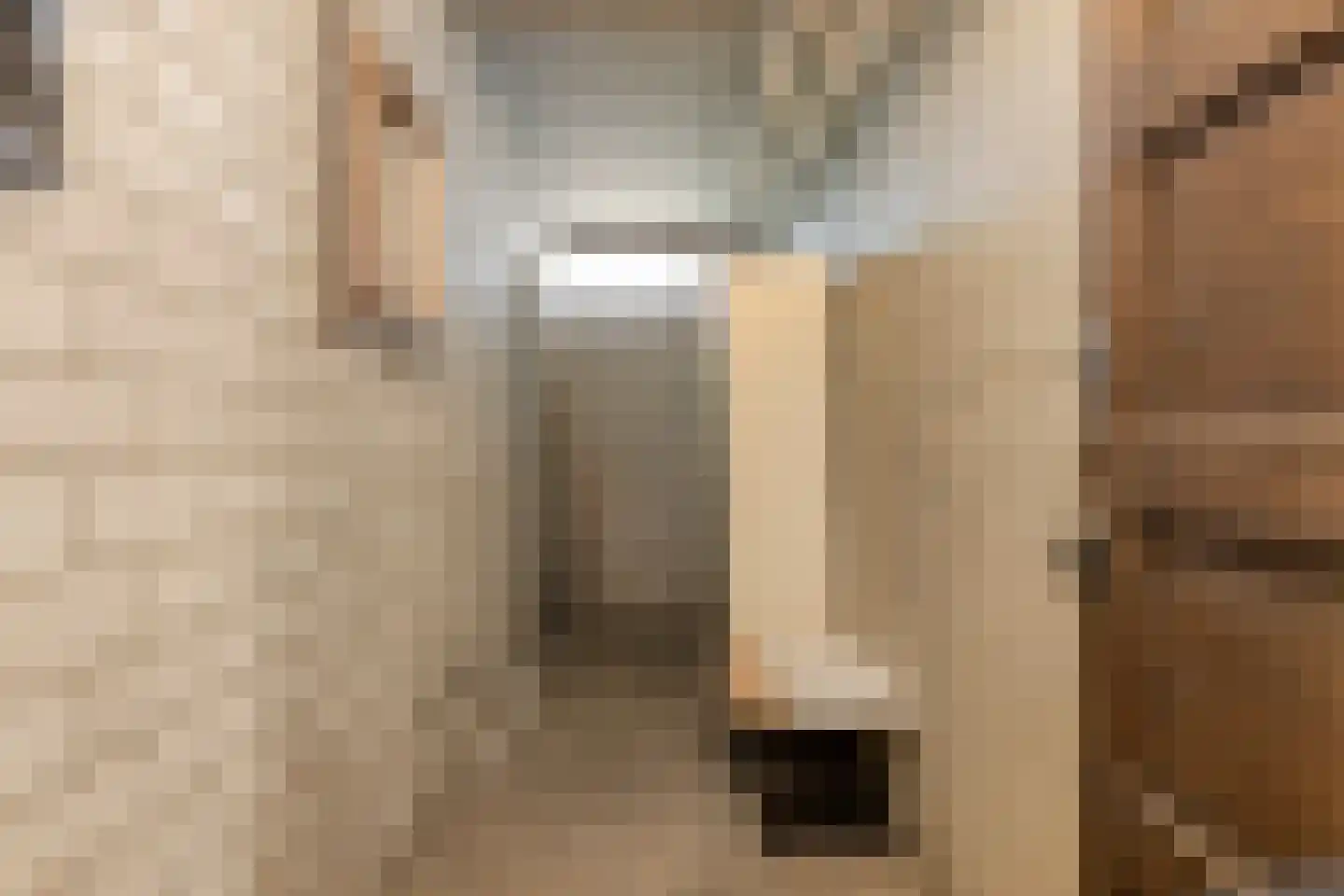 Graaf Adolfstraat 21 Eindhoven thumbnail 29