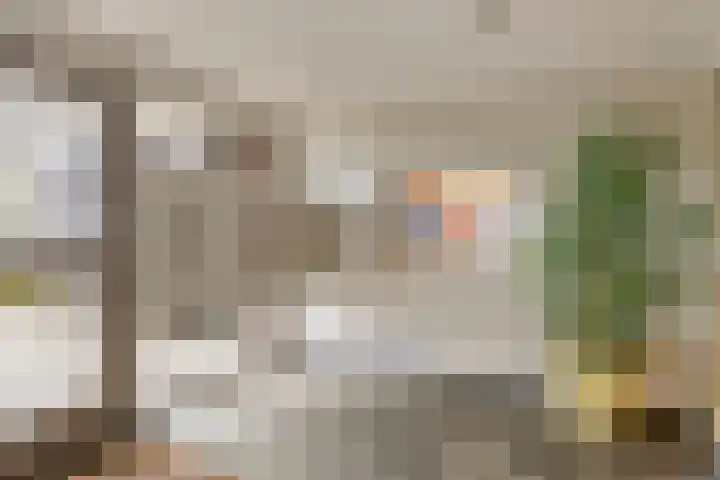 Graaf Adolfstraat 21 Eindhoven thumbnail 4