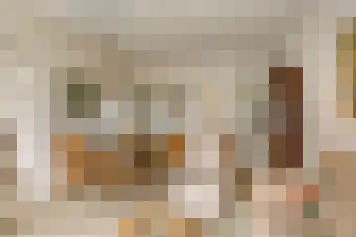 Graaf Adolfstraat 21 Eindhoven thumbnail 9