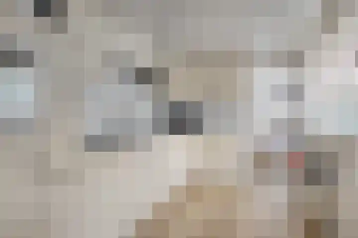 Graaf Adolfstraat 22 Oude Pekela thumbnail 14