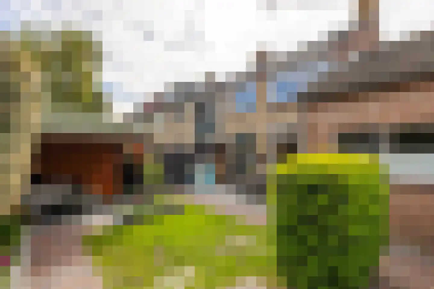 Graaf Adolfstraat 26 Hardinxveld-Giessendam thumbnail 27