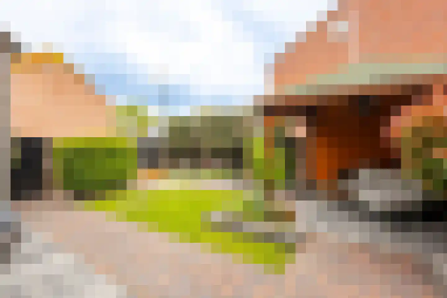 Graaf Adolfstraat 26 Hardinxveld-Giessendam thumbnail 28