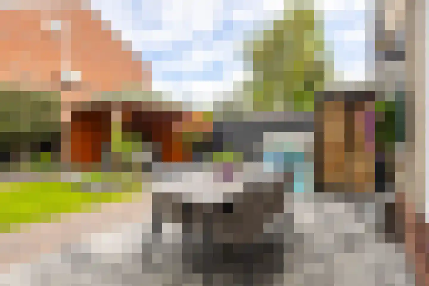 Graaf Adolfstraat 26 Hardinxveld-Giessendam thumbnail 31
