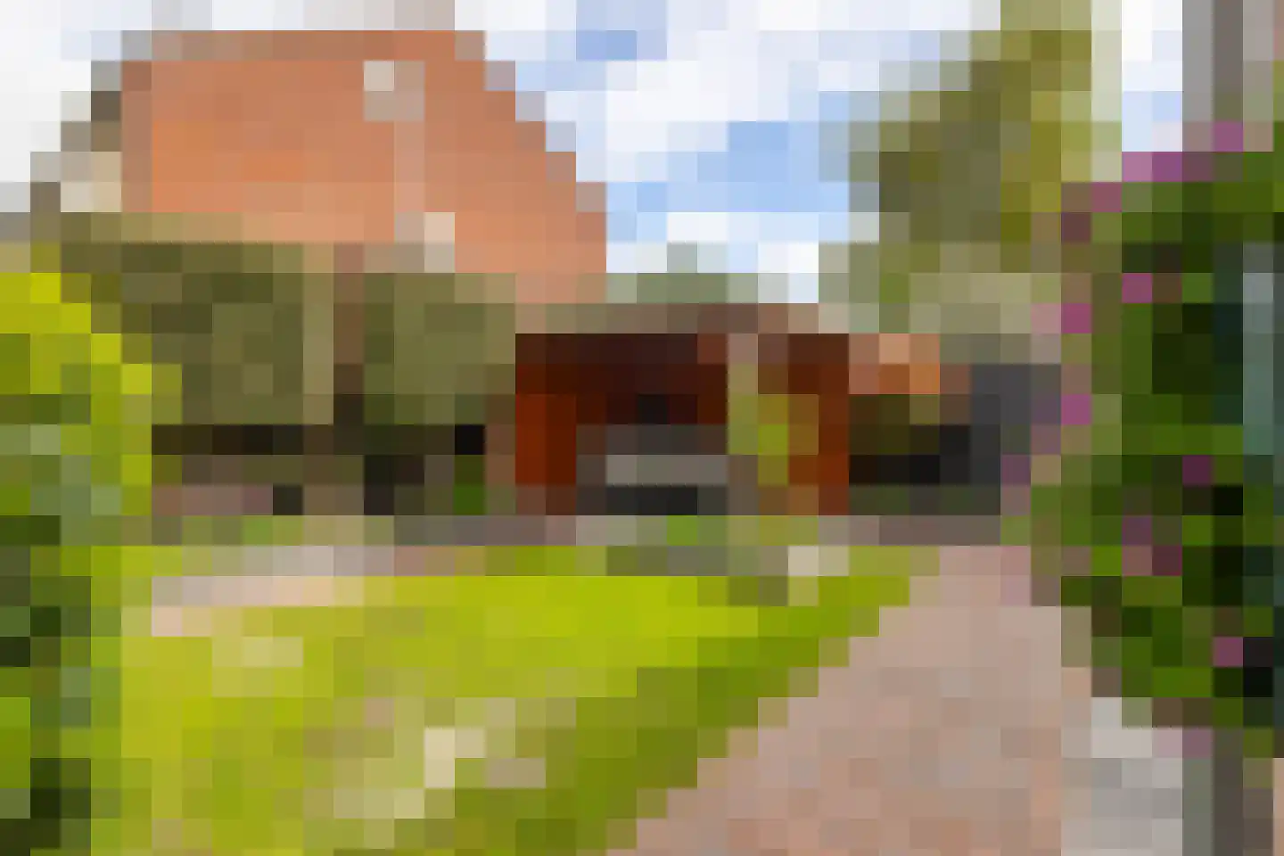 Graaf Adolfstraat 26 Hardinxveld-Giessendam thumbnail 32