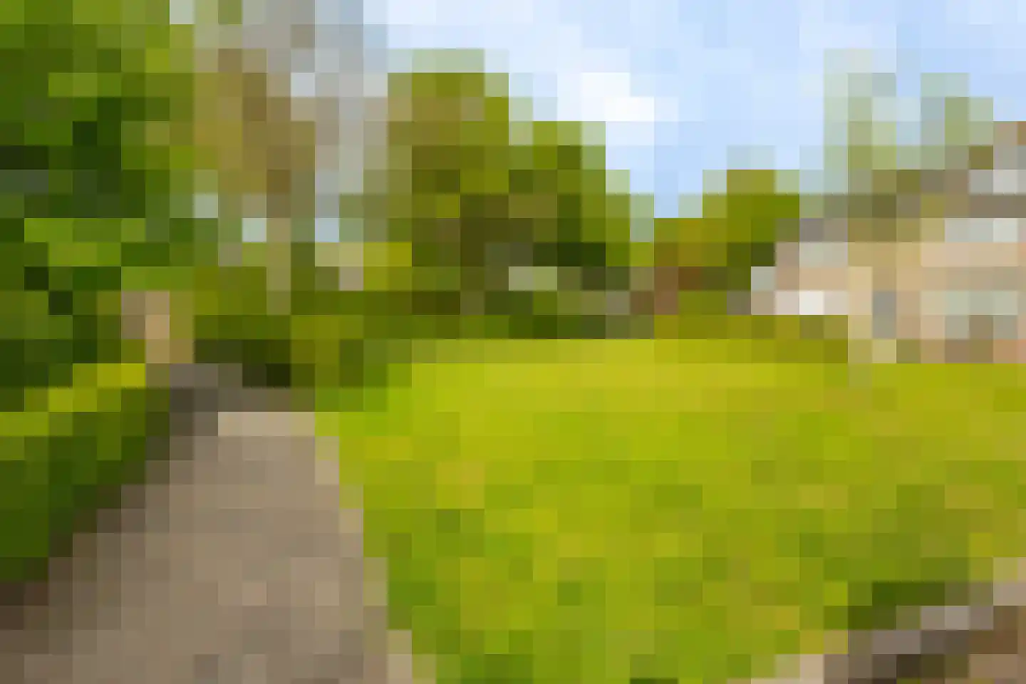 Graaf Adolfstraat 26 Hardinxveld-Giessendam thumbnail 42
