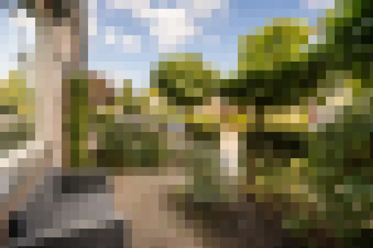 Graaf Adolfstraat 30 Leerdam thumbnail 39