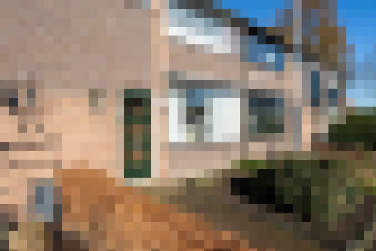 Graaf Adolfstraat 36 Leerdam thumbnail 6