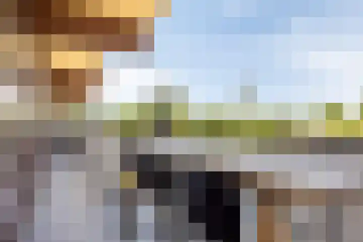 Graaf Adolfstraat 63 Eindhoven thumbnail 23