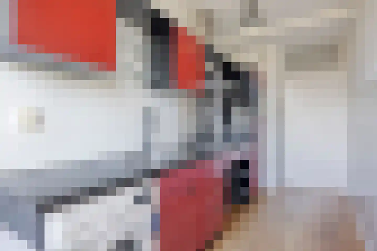 Graaf Adolfstraat 69 Eindhoven thumbnail 19