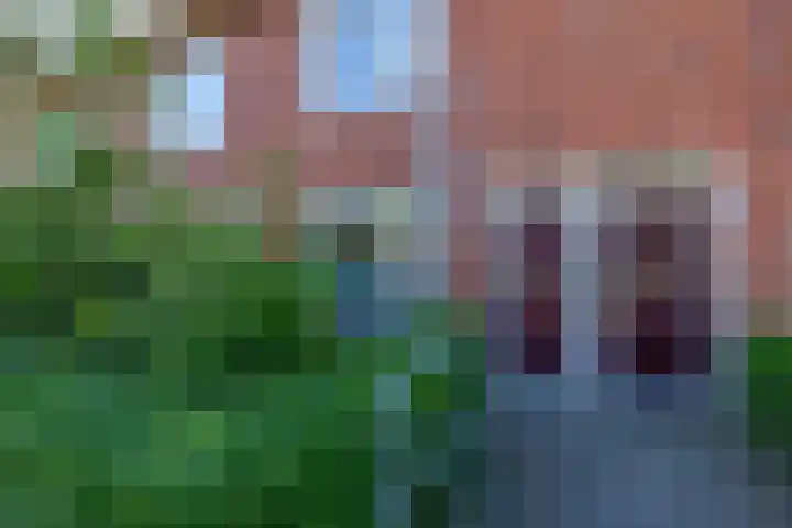 Graaf Adolfstraat 78 Groningen thumbnail 7