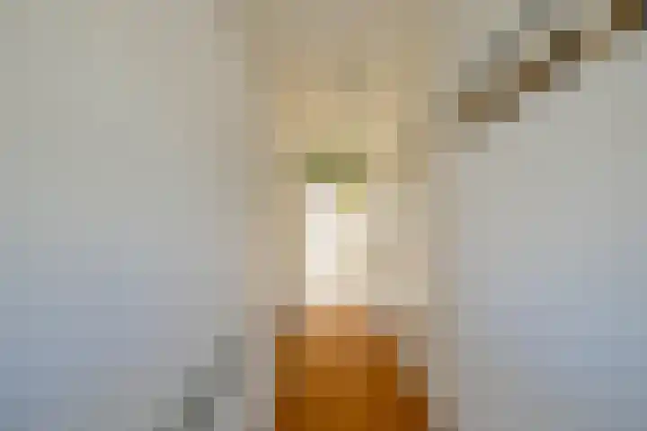Graaf Adolfstraat 78 Groningen thumbnail 8