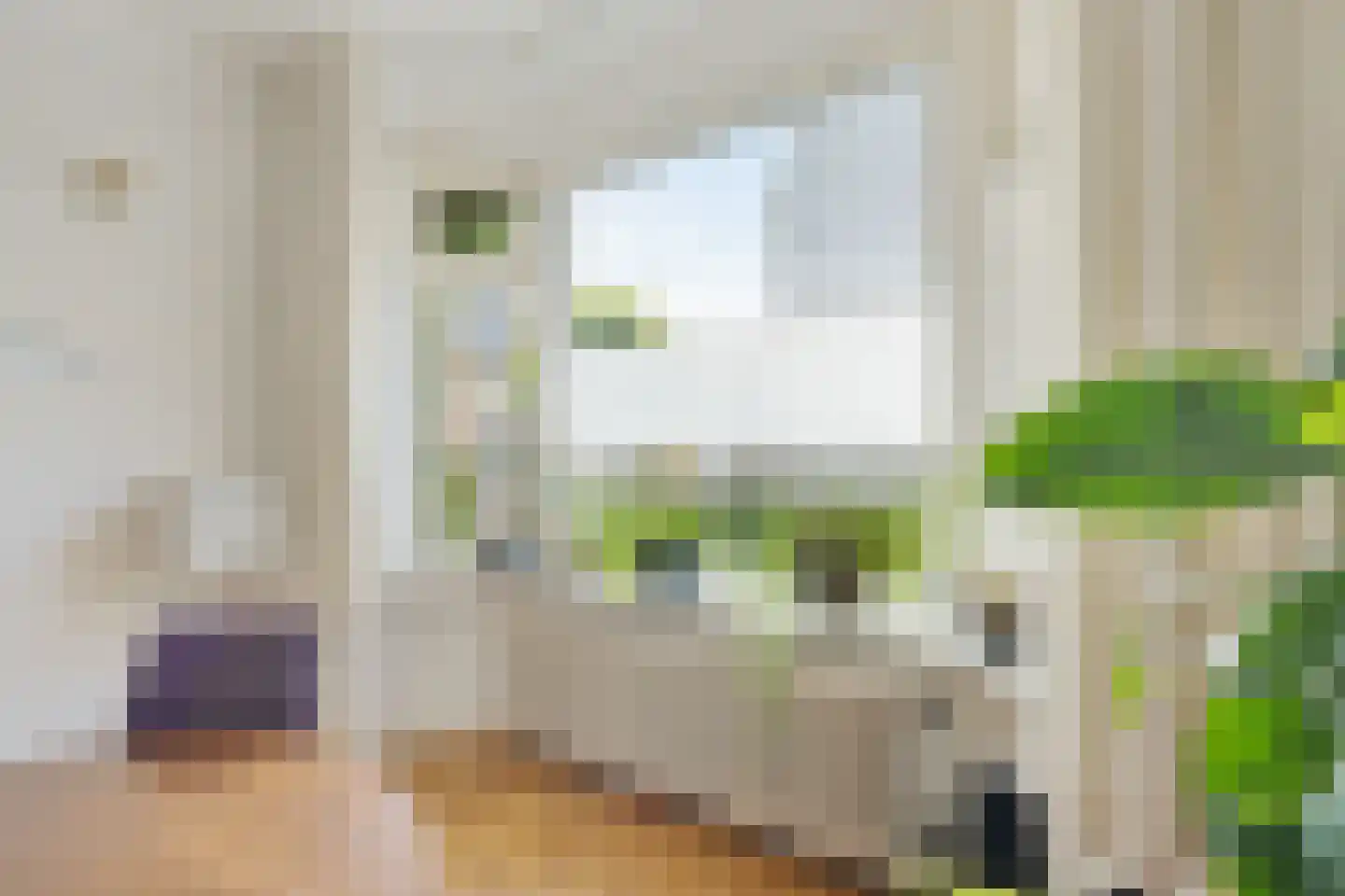 Graaf Adolfstraat 8 Utrecht thumbnail 15