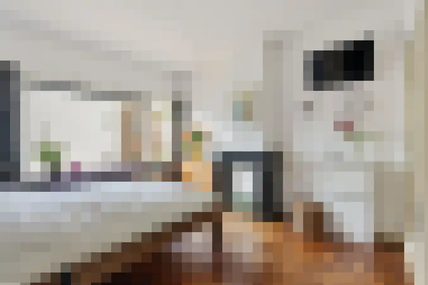 Graaf Adolfstraat 8 Utrecht thumbnail 32