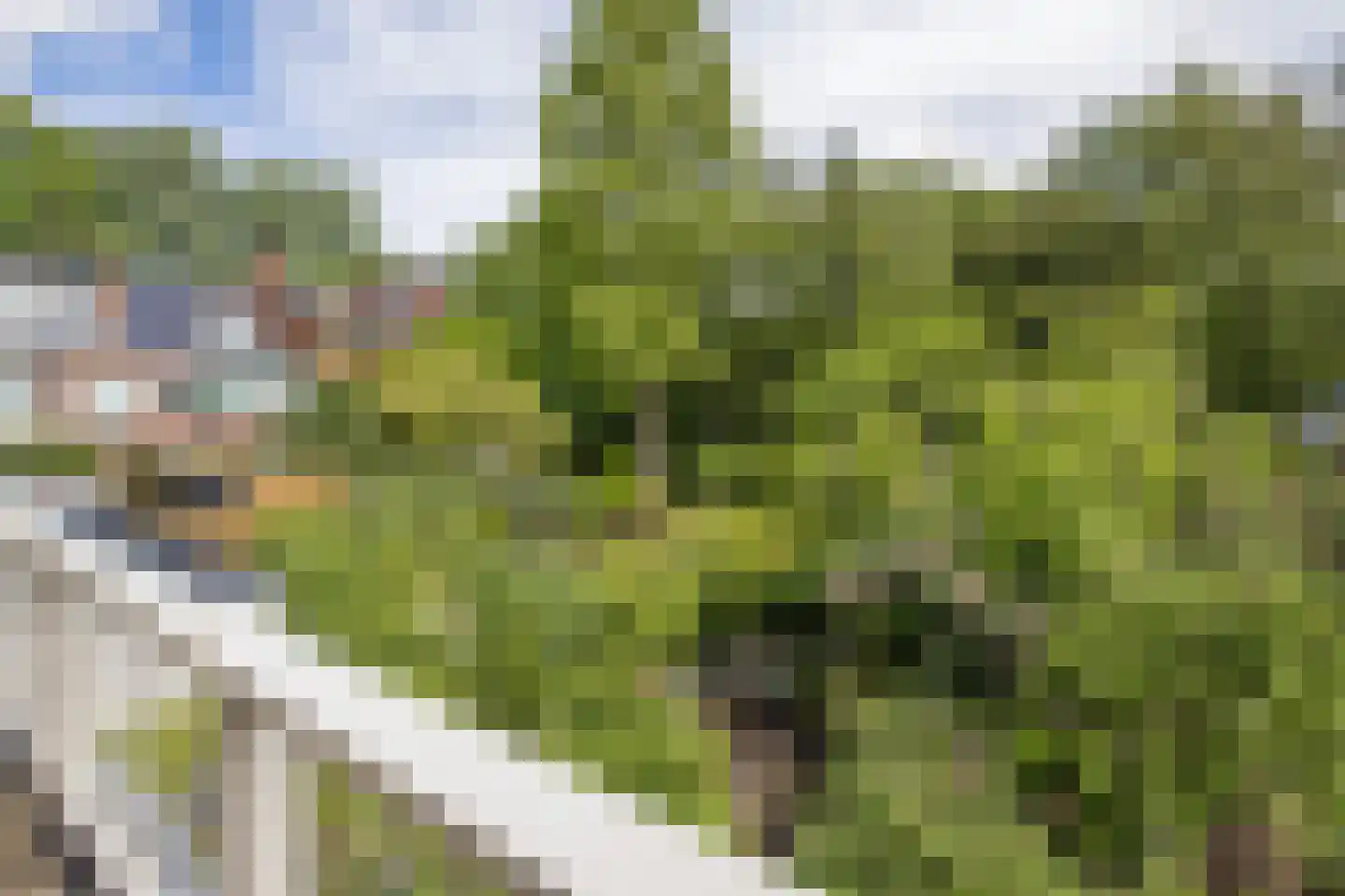 Graaf Adolfstraat 8 Utrecht thumbnail 39