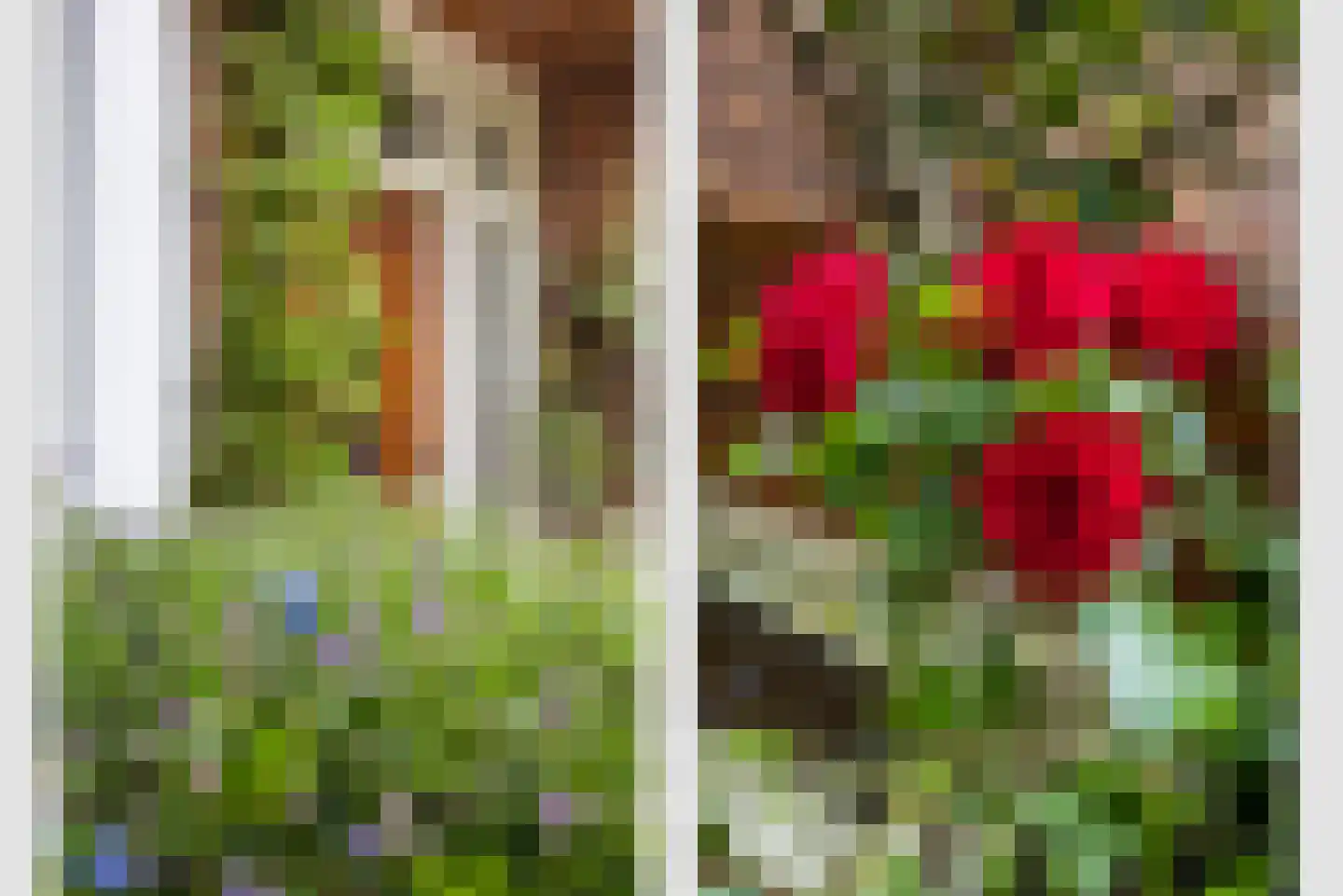 Graaf Adolfstraat 8 Utrecht thumbnail 4