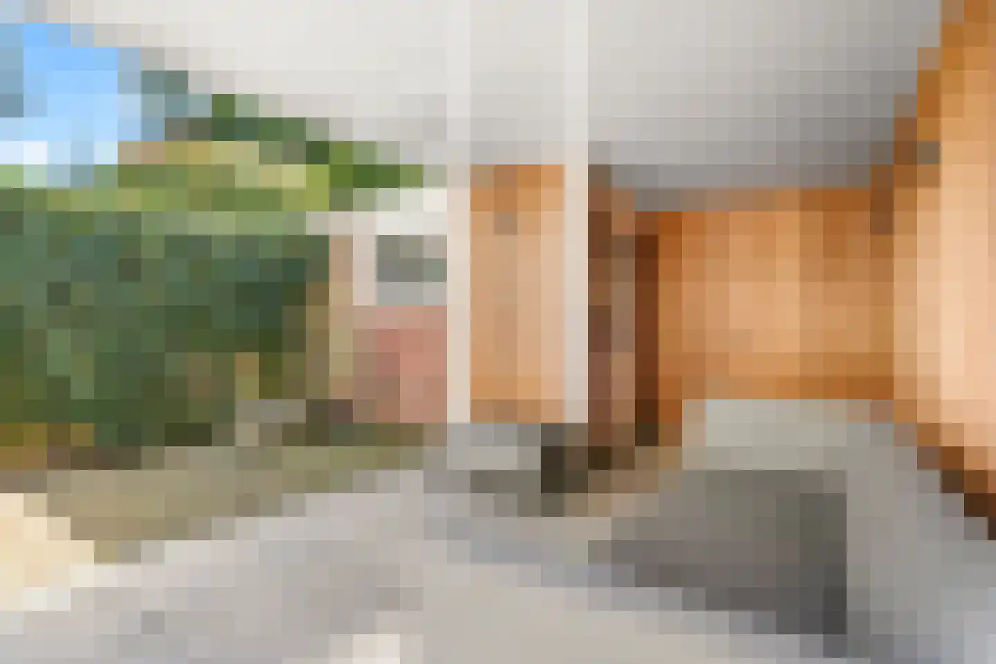 Graaf Aelbrechtlaan 101 Amstelveen thumbnail 14