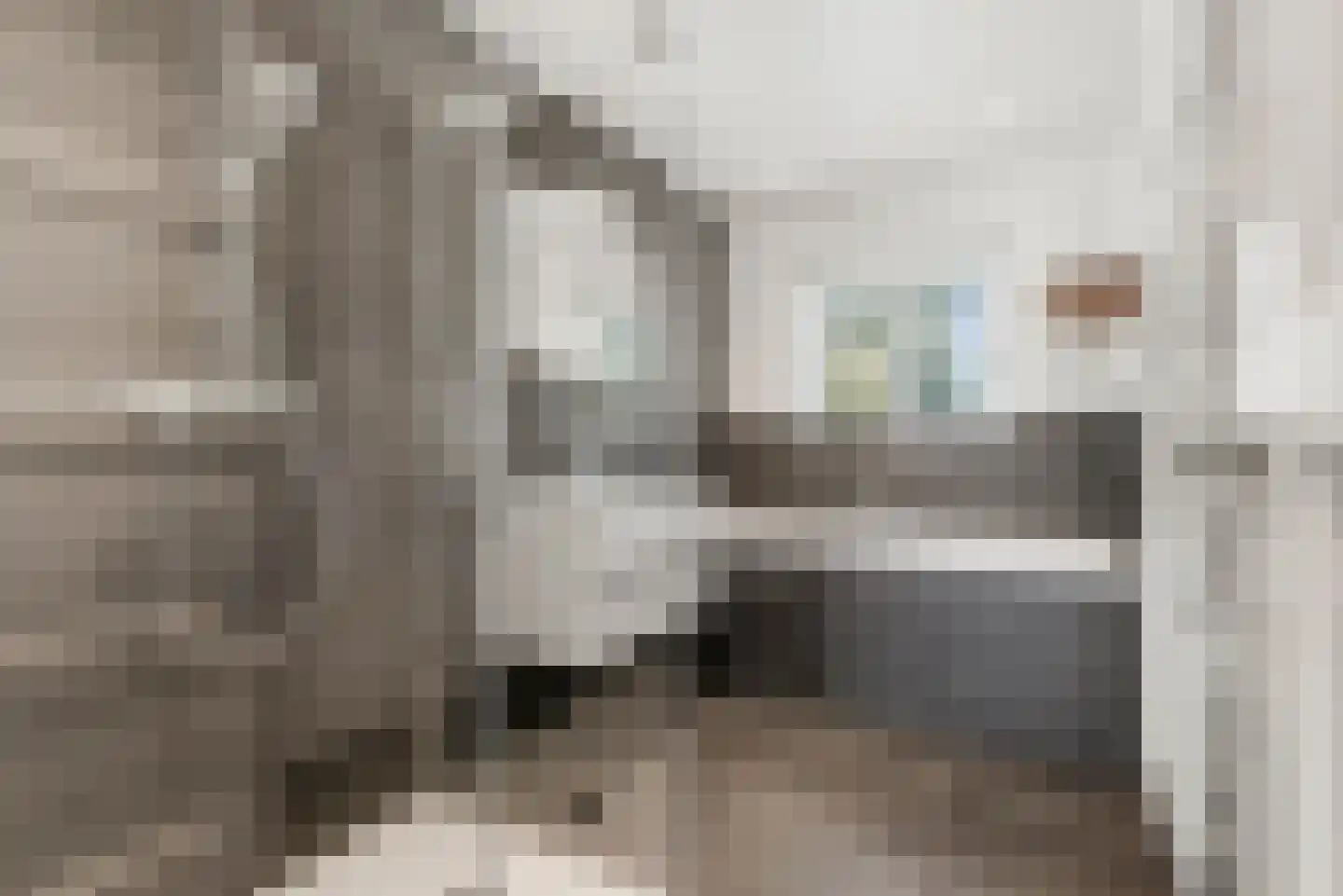 Graaf Aelbrechtlaan 101 Amstelveen thumbnail 47