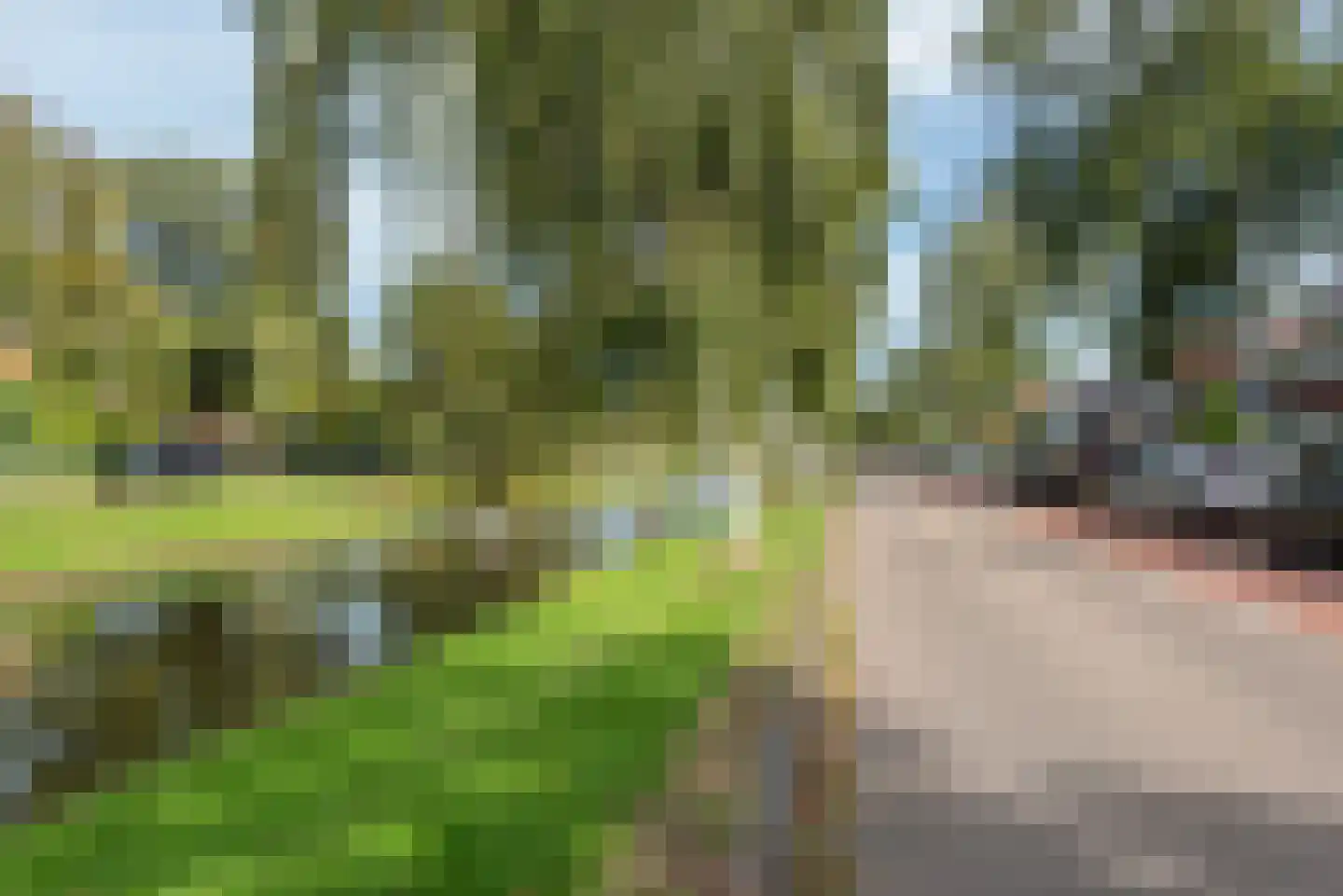 Graaf Aelbrechtlaan 101 Amstelveen thumbnail 61