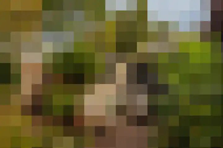 Graaf Aelbrechtlaan 104 Amstelveen thumbnail 15
