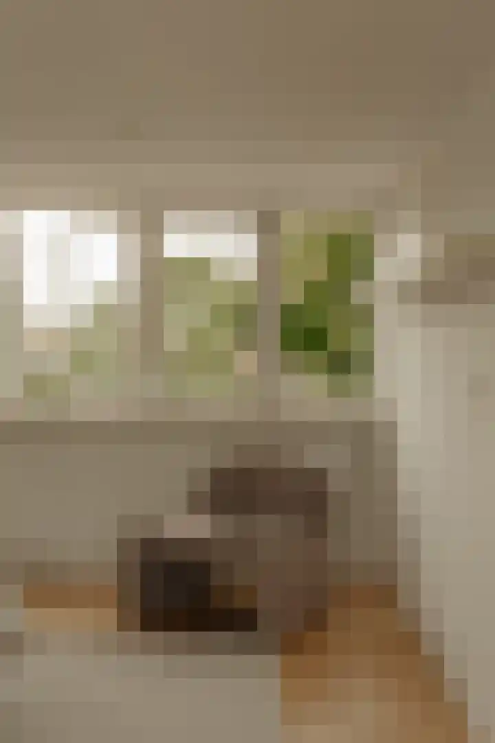 Graaf Aelbrechtlaan 104 Amstelveen thumbnail 29