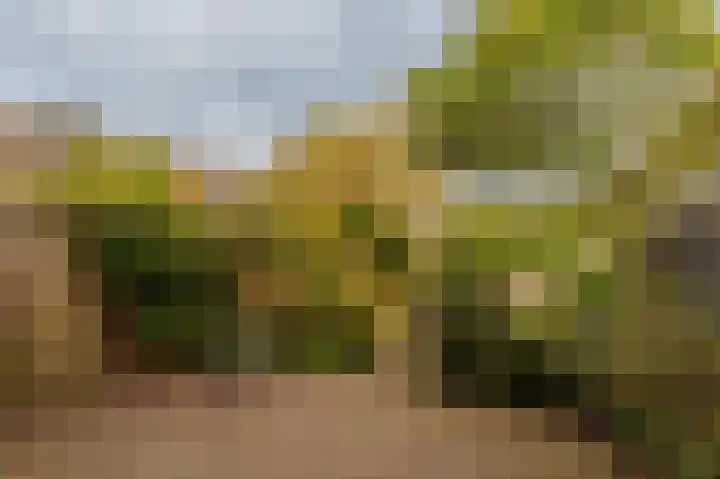 Graaf Aelbrechtlaan 104 Amstelveen thumbnail 30