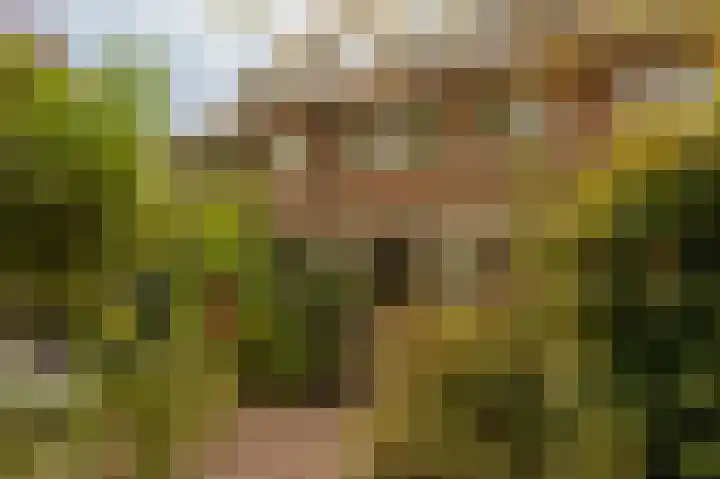 Graaf Aelbrechtlaan 104 Amstelveen thumbnail 31