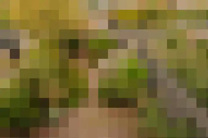 Graaf Aelbrechtlaan 104 Amstelveen thumbnail 32