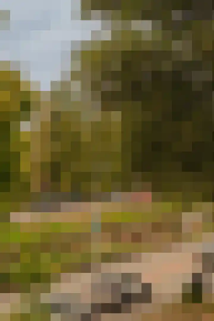 Graaf Aelbrechtlaan 104 Amstelveen thumbnail 33