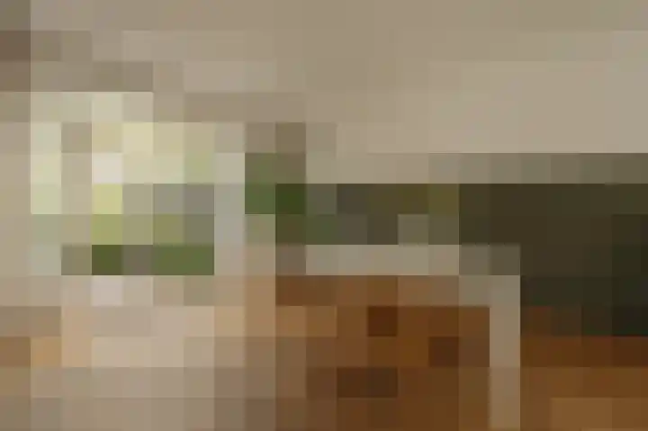 Graaf Aelbrechtlaan 104 Amstelveen thumbnail 5