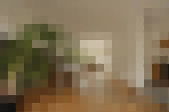 Graaf Aelbrechtlaan 104 Amstelveen thumbnail 6