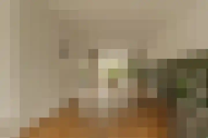 Graaf Aelbrechtlaan 104 Amstelveen thumbnail 8