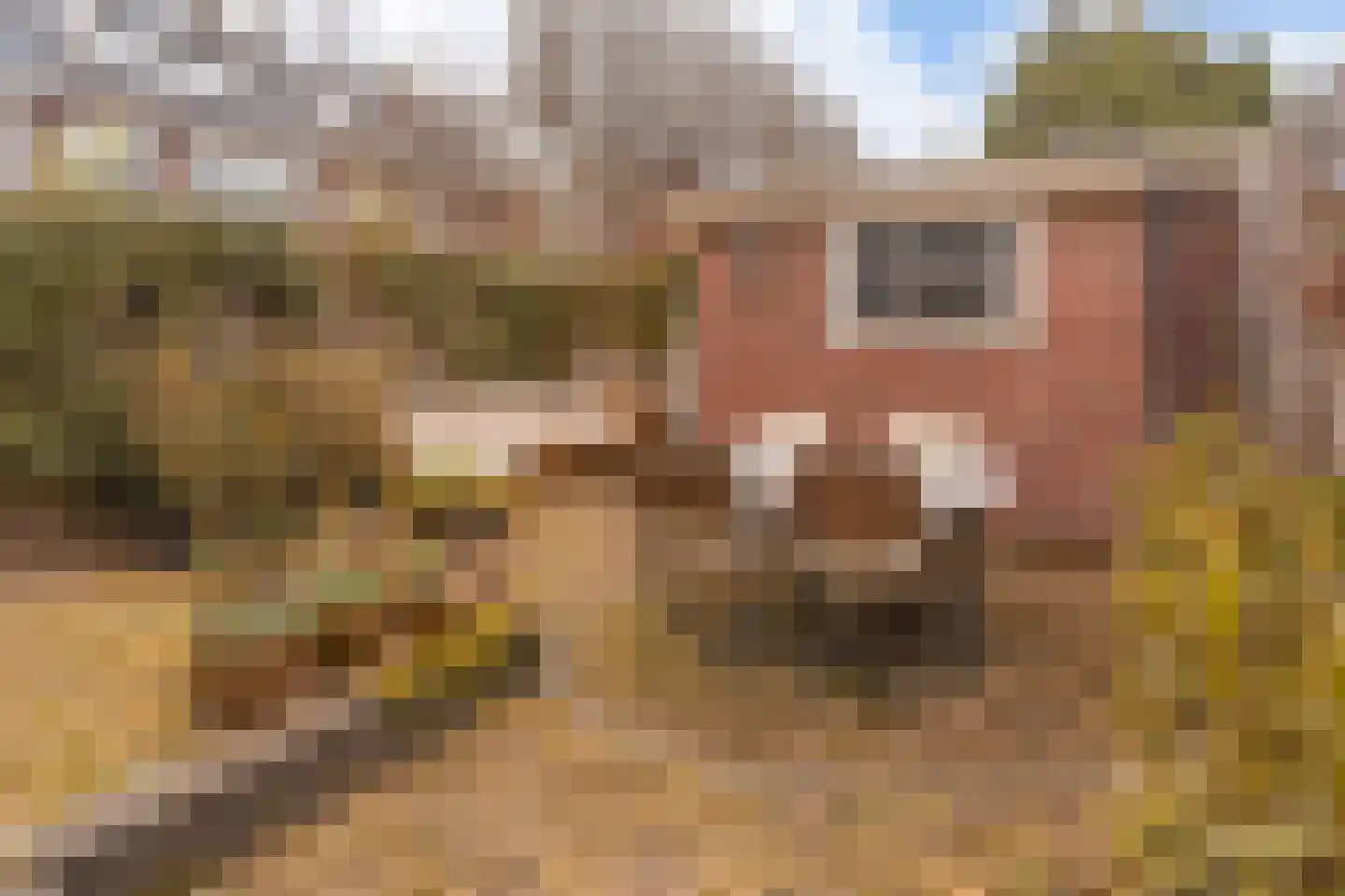 Graaf Aelbrechtlaan 112 Amstelveen thumbnail 15